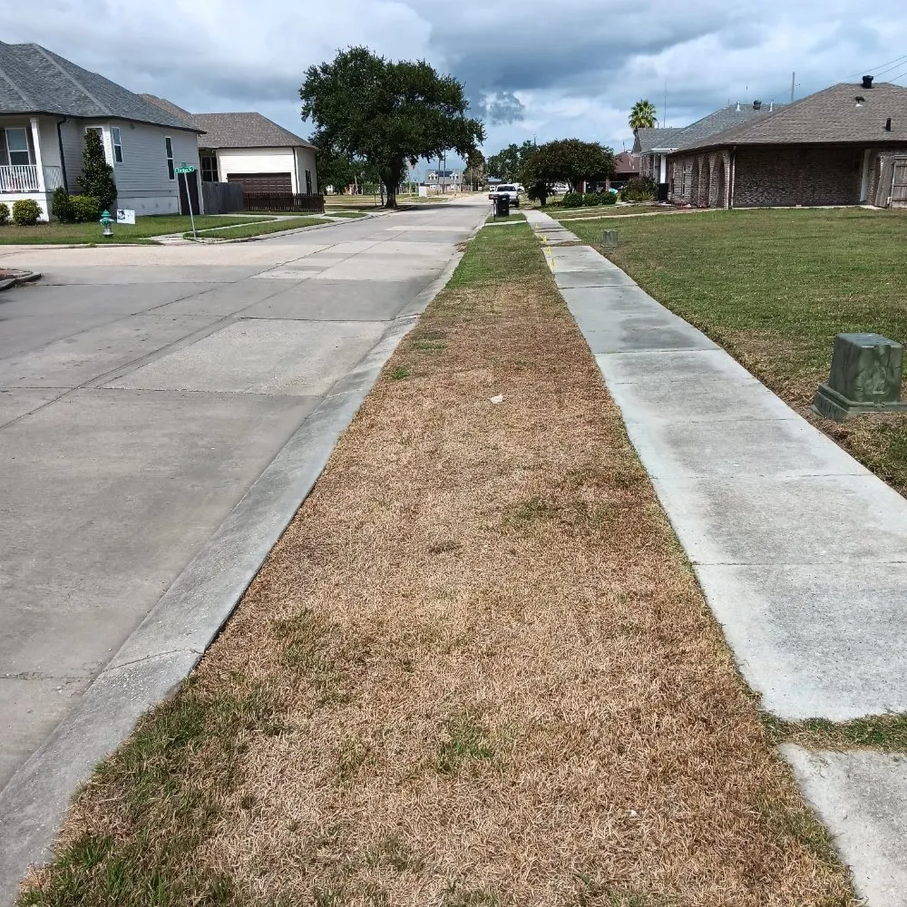 Expert landscape design for beautiful yards in New Orleans, LA by A-Miracle Lawn Care Services