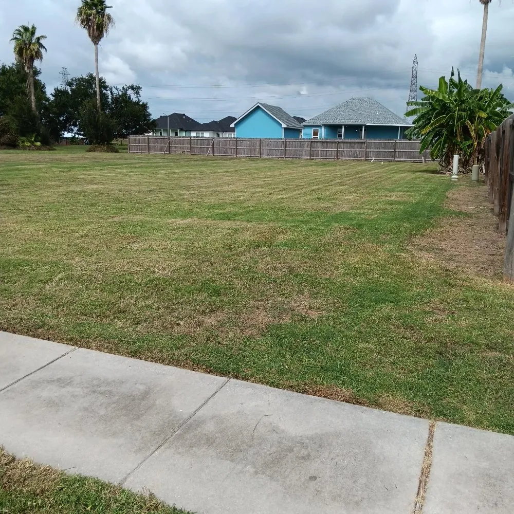 Reliable yard cleanup service for residential properties in New Orleans, LA by A-Miracle Lawn Care Services