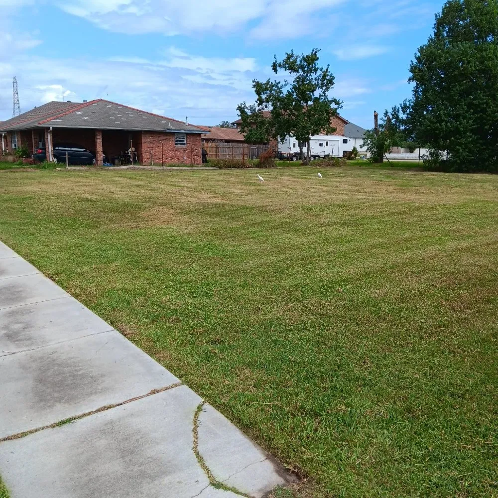 Local outdoor landscaping experts serving New Orleans, LA - A-Miracle Lawn Care Services