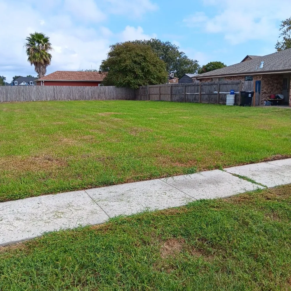 Expert outdoor landscaping for year-round maintenance across New Orleans, LA - A-Miracle Lawn Care Services