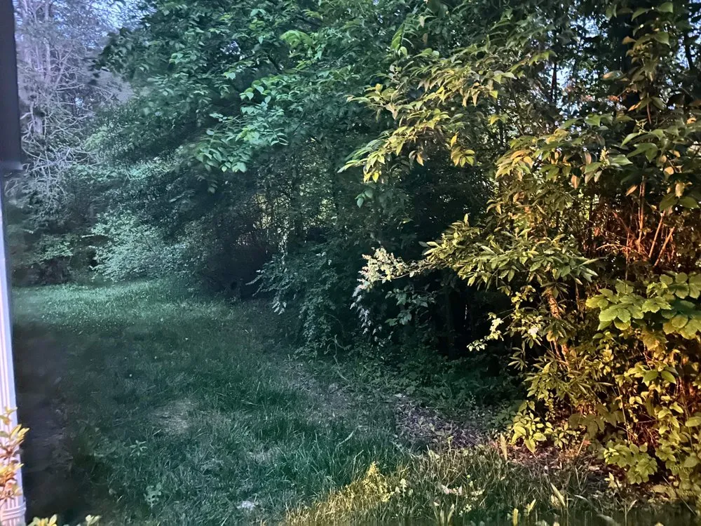 Expert landscape installation for residential properties across York, SC - A Monkeys Uncle Lawn Care Handyman services