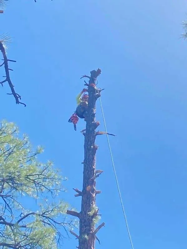 Trusted garden landscaping in Prescott Valley, AZ - A Montoya Landscaping