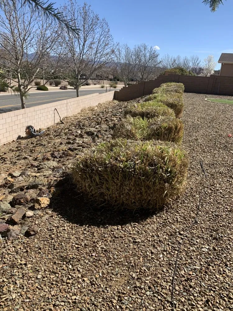 Affordable outdoor landscaping in Prescott Valley, AZ by A Montoya Landscaping