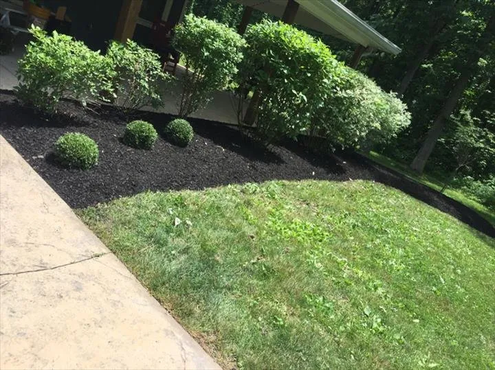Trusted yard cleanup service in Greenfield, IN by A+ Mowing And More
