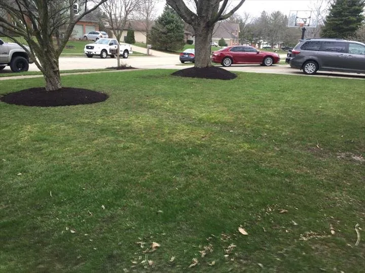 Reliable landscape design in Greenfield, IN - A+ Mowing And More