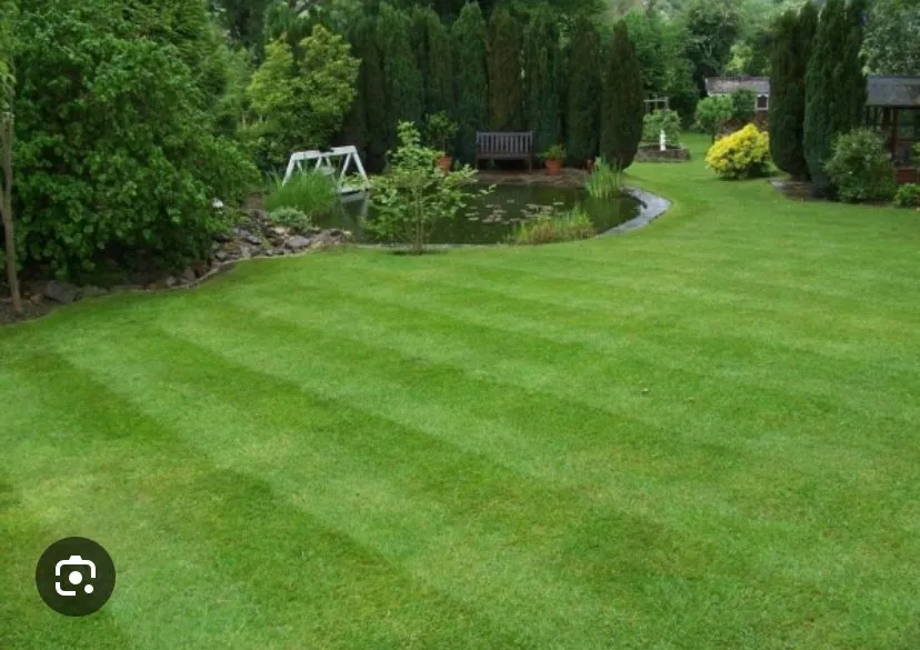 Reliable lawn mowing service in Saint Paul, MN - A Mowing