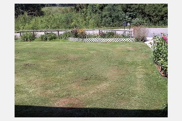 Affordable garden landscaping for outdoor upgrades across Waynesville, NC - A+ Mowing Solutions