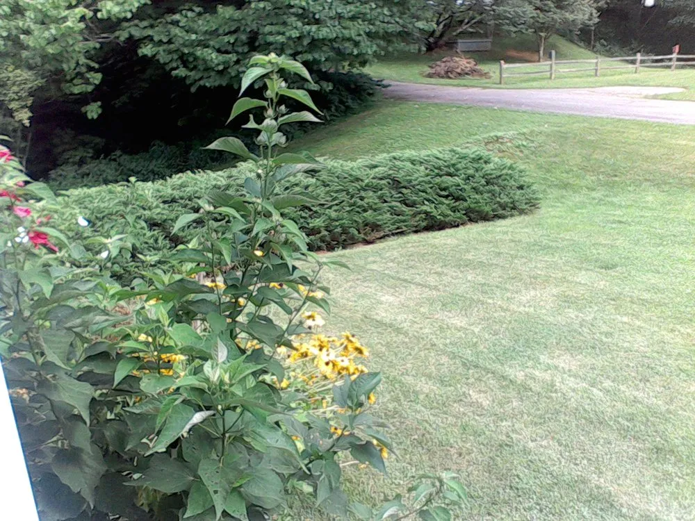 Top-rated landscape installation experts serving Waynesville, NC - A+ Mowing Solutions