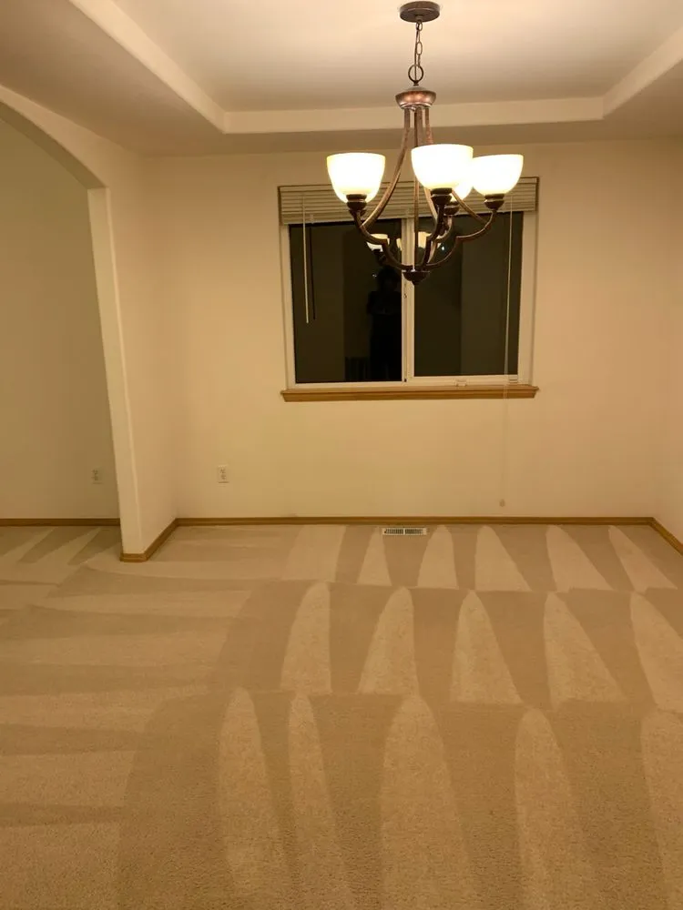 Local yard maintenance near you across Seattle, WA - A Multi Service