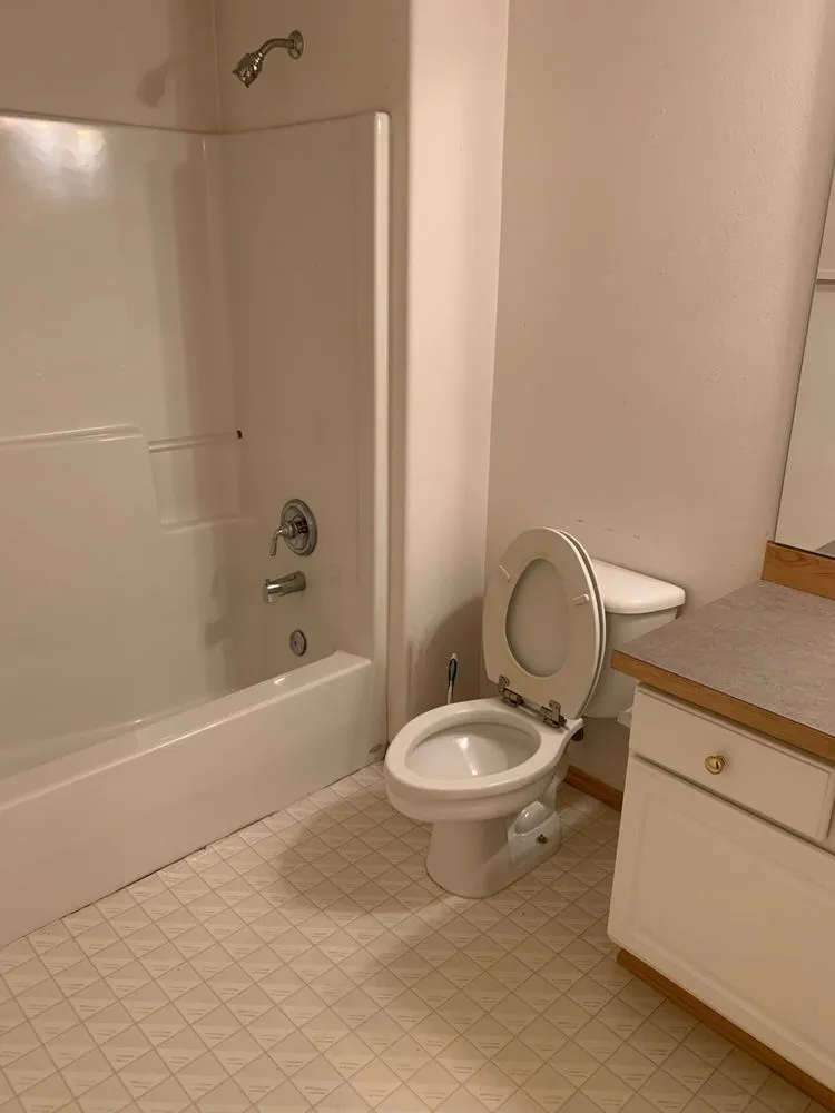 Trusted yard cleanup service experts serving Seattle, WA - A Multi Service