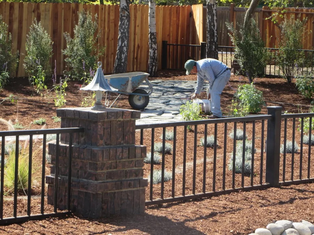 Reliable lawn care service experts serving Morgan Hill, CA - A Munoz Landscape Construction