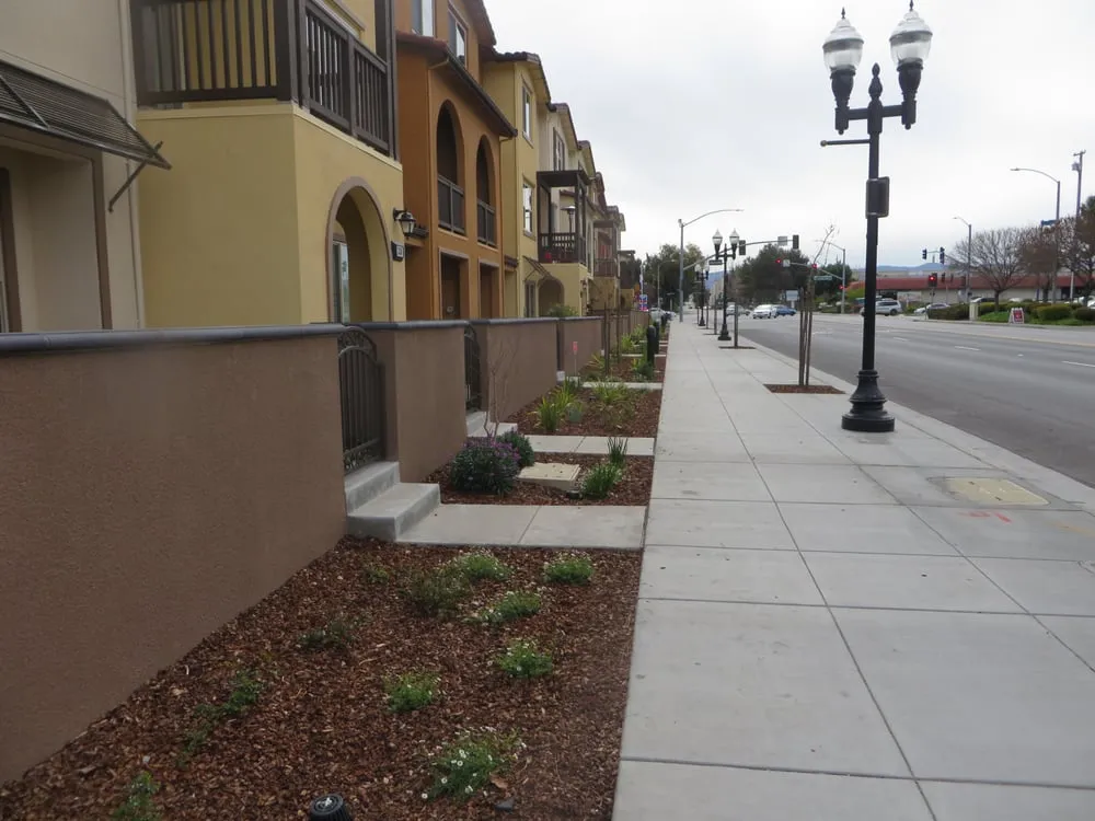 Top-rated residential landscaping experts serving Morgan Hill, CA - A Munoz Landscape Construction