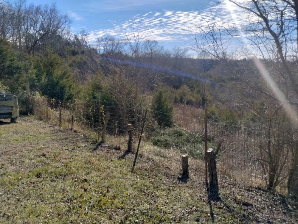 Expert yard cleanup service in Newport, TN - A-N-A Lawn Care