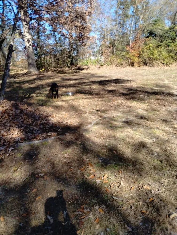 Local residential landscaping in Newport, TN - A-N-A Lawn Care