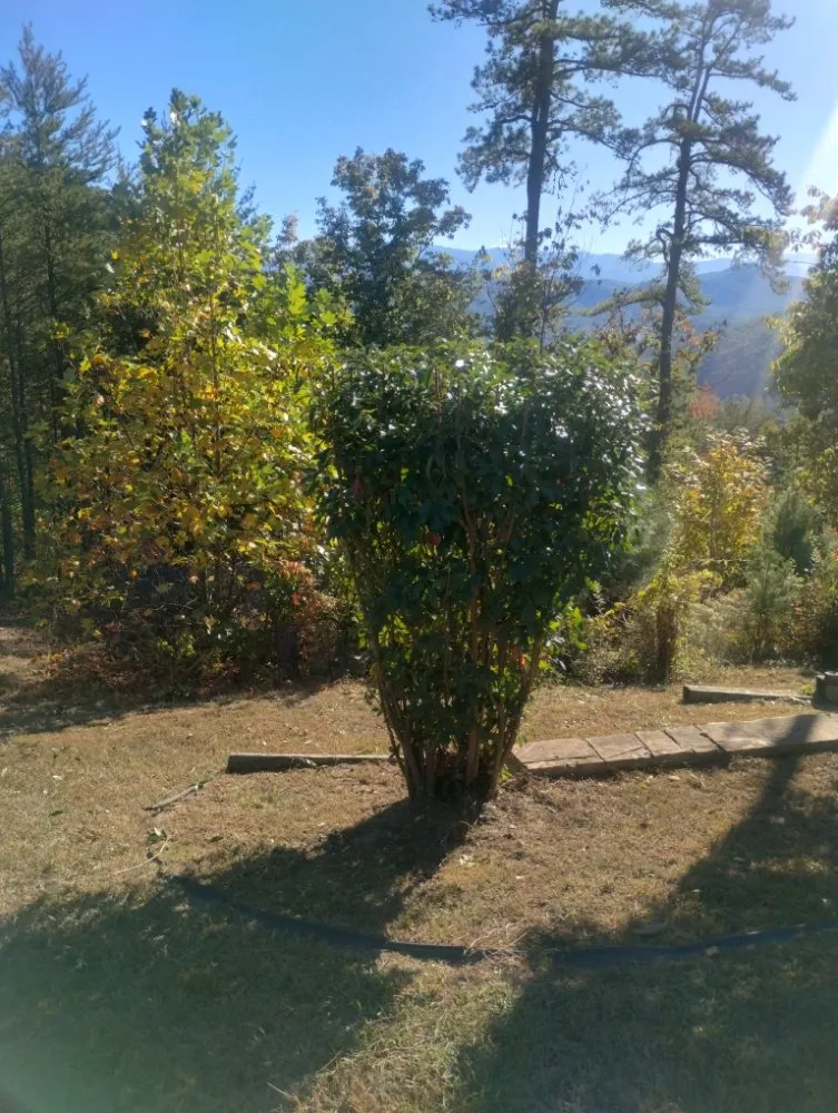 Top-rated residential landscaping experts serving Newport, TN - A-N-A Lawn Care