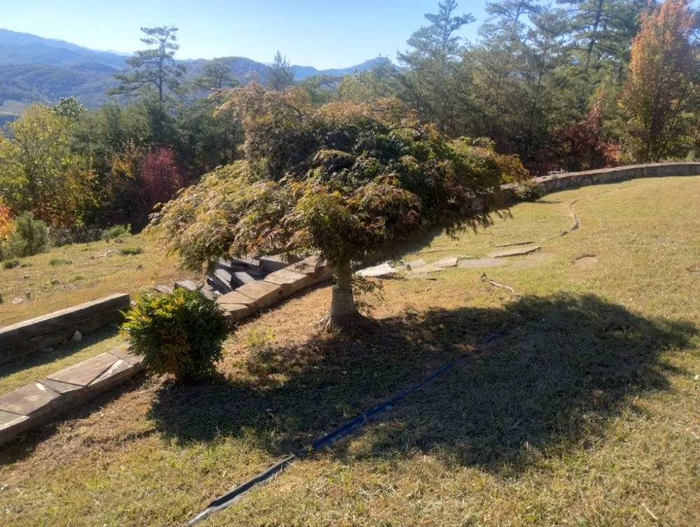 Affordable garden landscaping for year-round maintenance across Newport, TN - A-N-A Lawn Care