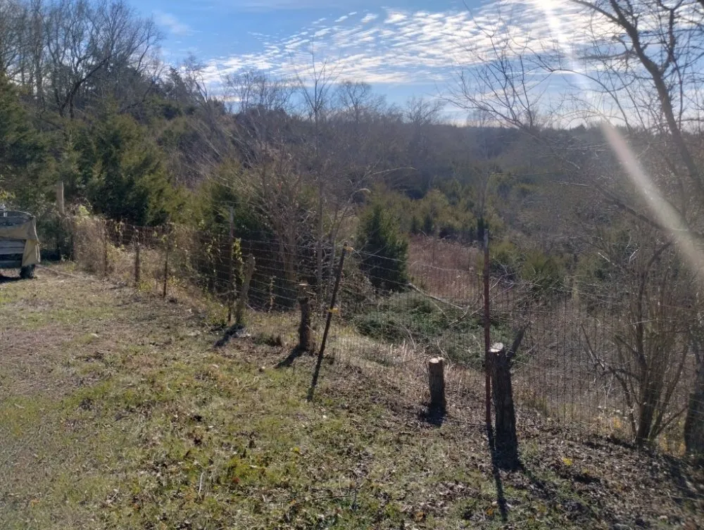 Affordable yard cleanup service experts serving Newport, TN - A-N-A Lawn Care