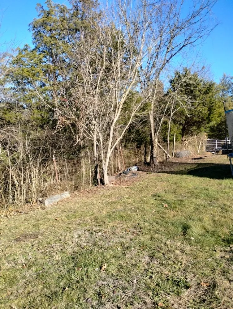 Professional yard maintenance in Newport, TN - A-N-A Lawn Care