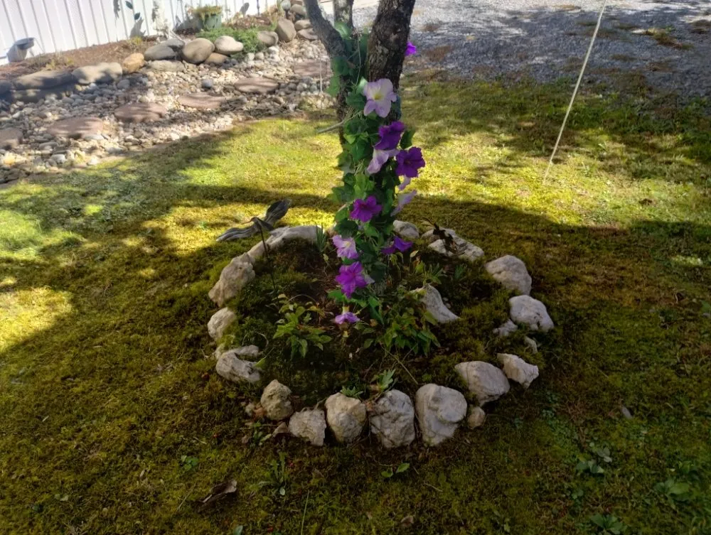 Professional lawn care service in Newport, TN by A-N-A Lawn Care