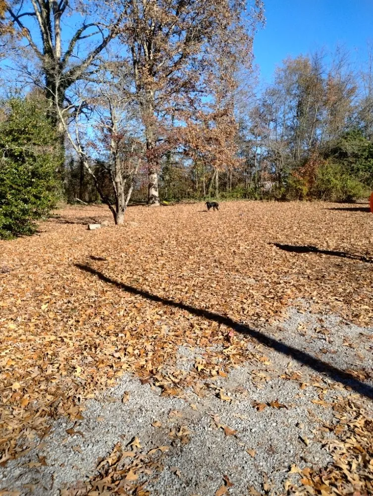 Local lawn care service near you in Newport, TN by A-N-A Lawn Care