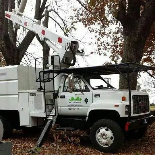 Expert lawn care service near you in Taylors, SC by A n J Tree Service