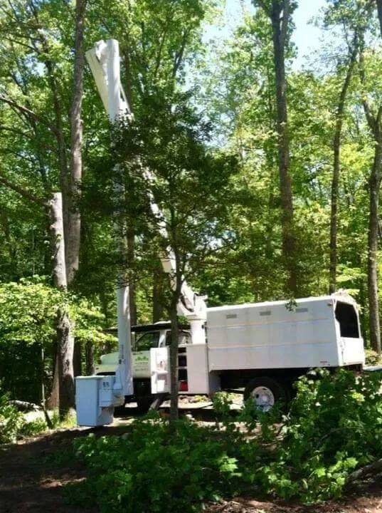 Custom landscape design in Taylors, SC by A n J Tree Service