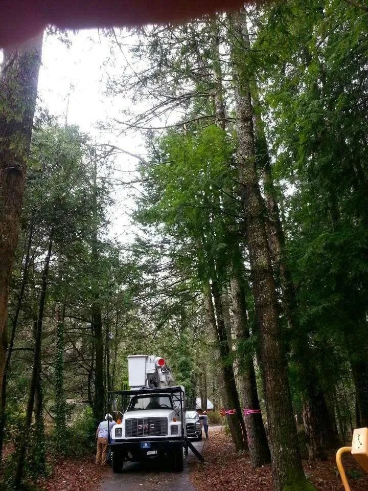 Affordable outdoor landscaping in Taylors, SC - A n J Tree Service