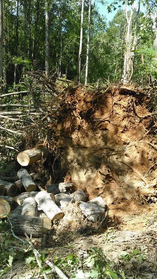 Reliable garden landscaping with custom design in Taylors, SC by A n J Tree Service