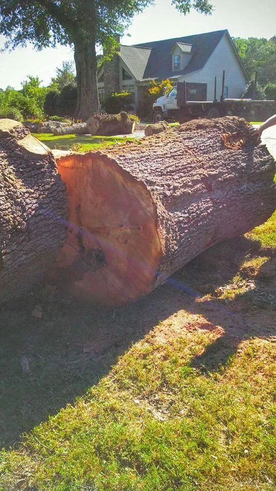 Top-rated landscape installation experts serving Taylors, SC - A n J Tree Service