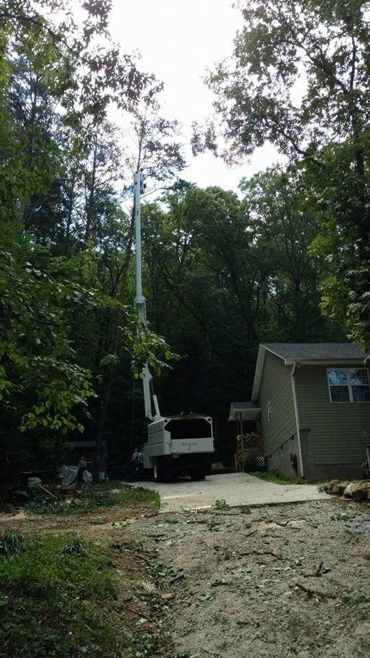 Custom garden landscaping for residential properties in Taylors, SC by A n J Tree Service