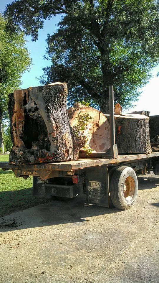 Custom landscaping services for year-round maintenance across Taylors, SC - A n J Tree Service