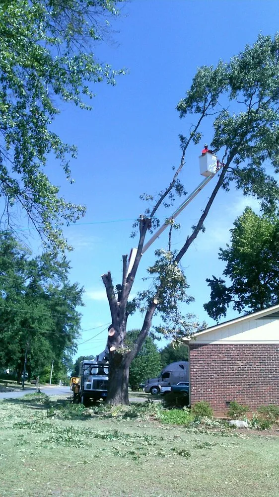 Local outdoor landscaping experts serving Taylors, SC - A n J Tree Service