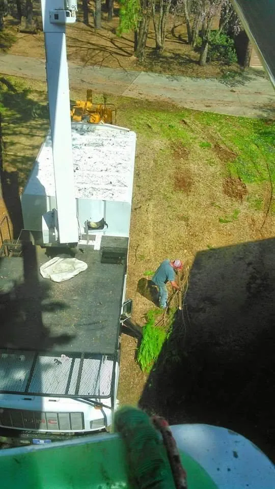 Expert yard maintenance for outdoor upgrades across Taylors, SC - A n J Tree Service