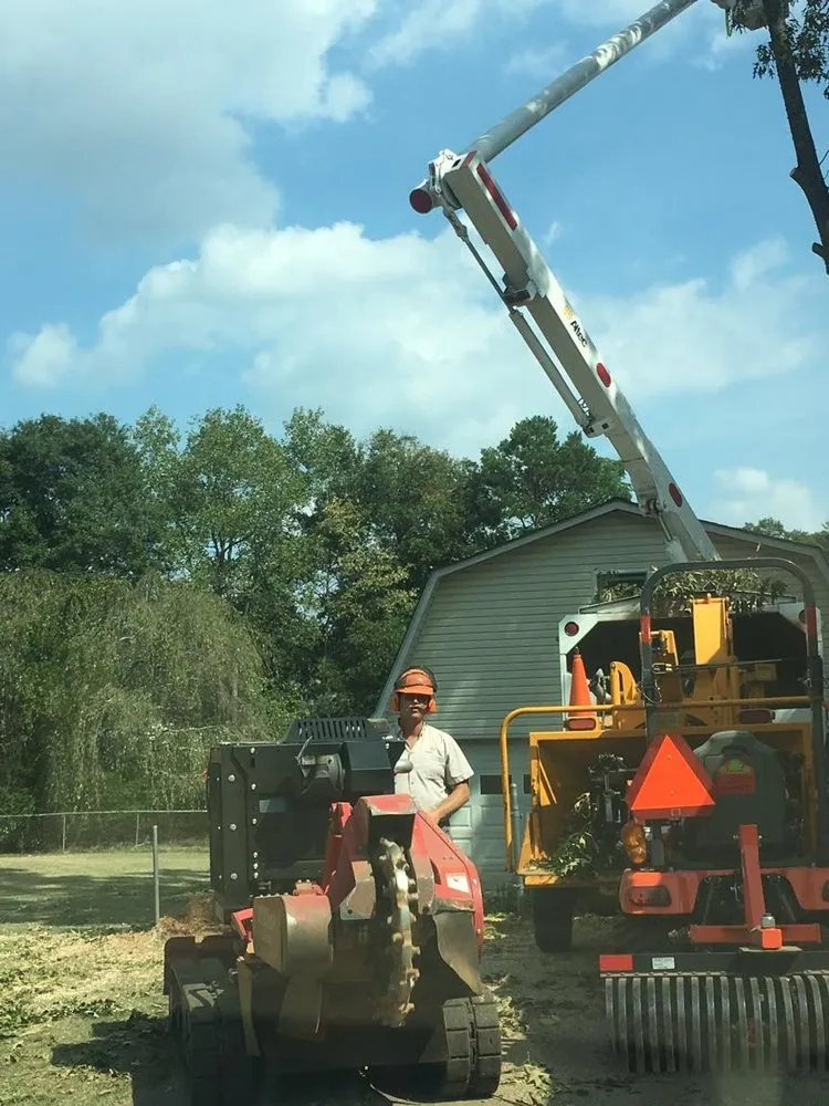 Expert lawn mowing service in Taylors, SC - A n J Tree Service