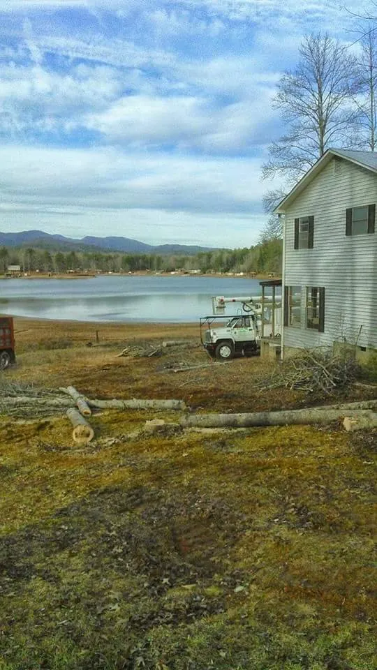 Custom yard cleanup service in Taylors, SC - A n J Tree Service