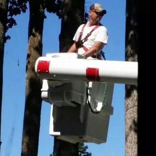 Custom outdoor landscaping in Taylors, SC by A n J Tree Service