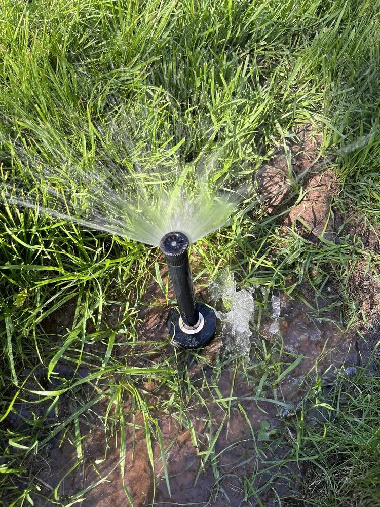 Local outdoor landscaping in Commerce, TX by A n S Handyman Service