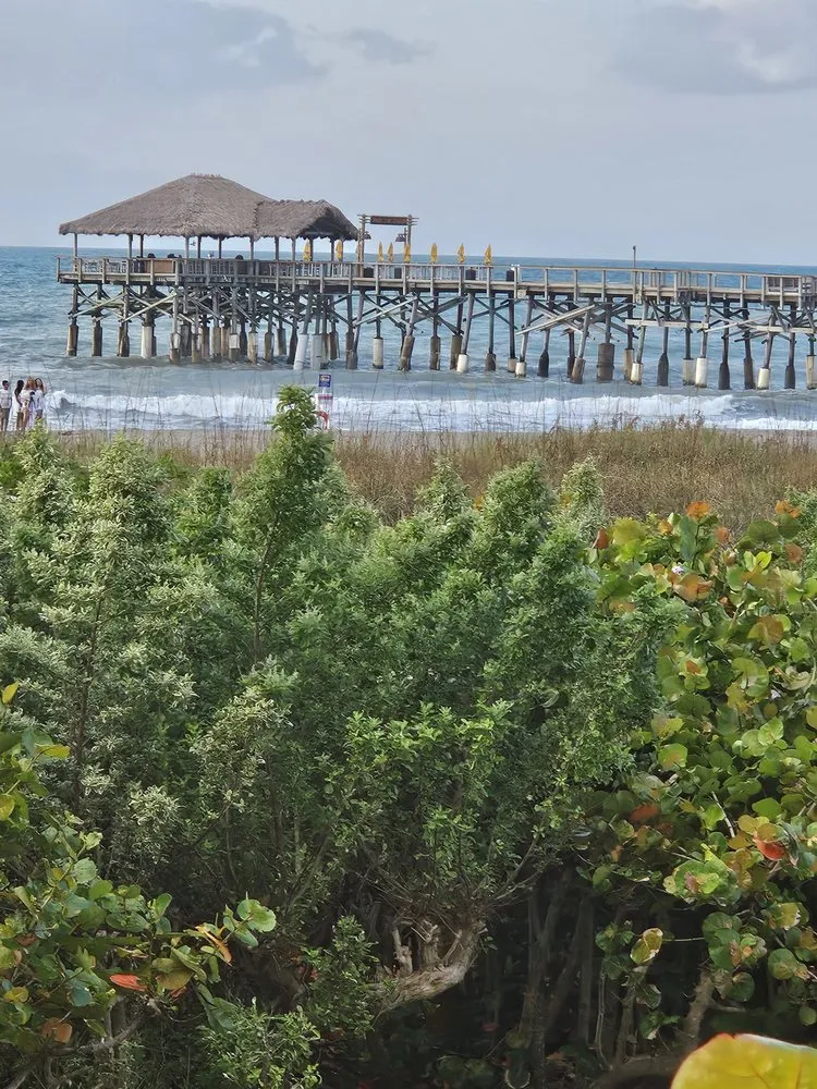 Top-rated yard cleanup service in Atlantic Beach, FL by A Native Sun Landscape Services