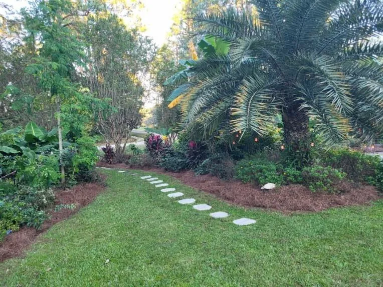 Affordable residential landscaping with custom design in St Johns, FL by A Natural Art Landscaping