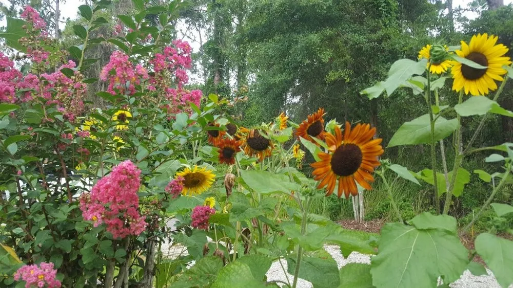 Top-rated landscape design for outdoor upgrades across St Johns, FL - A Natural Art Landscaping