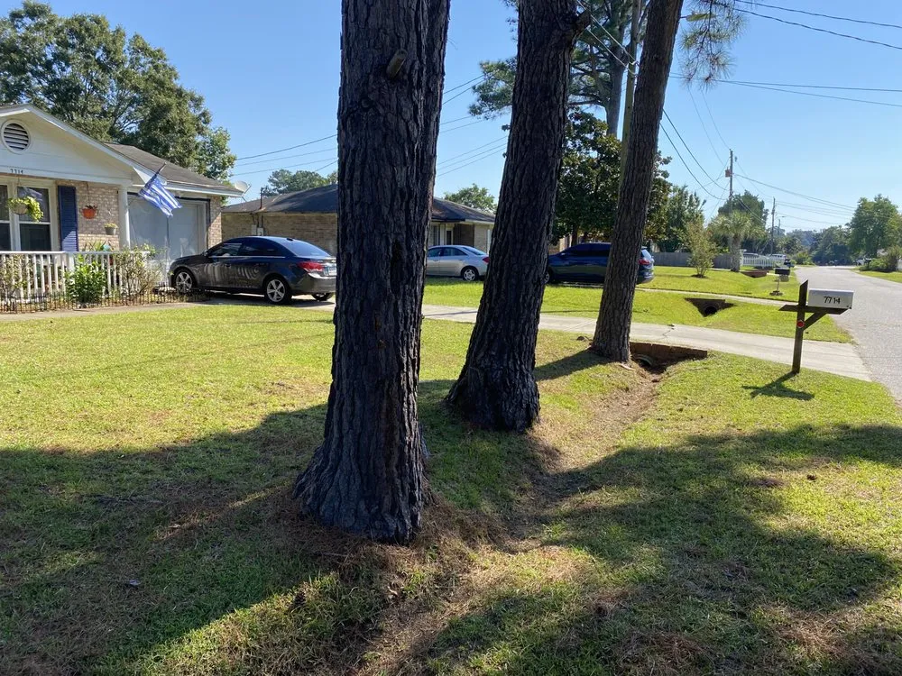 Professional landscape design experts serving Hollywood, SC - A New Beginning Lawn Care