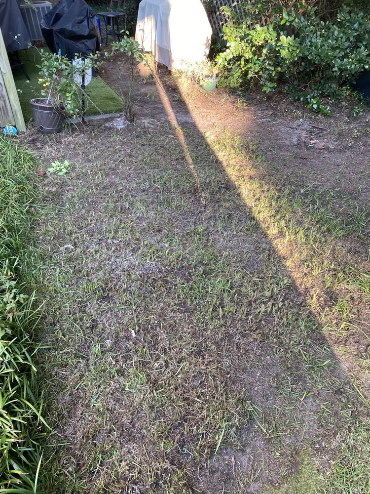 Professional landscape installation for homes across Hollywood, SC - A New Beginning Lawn Care