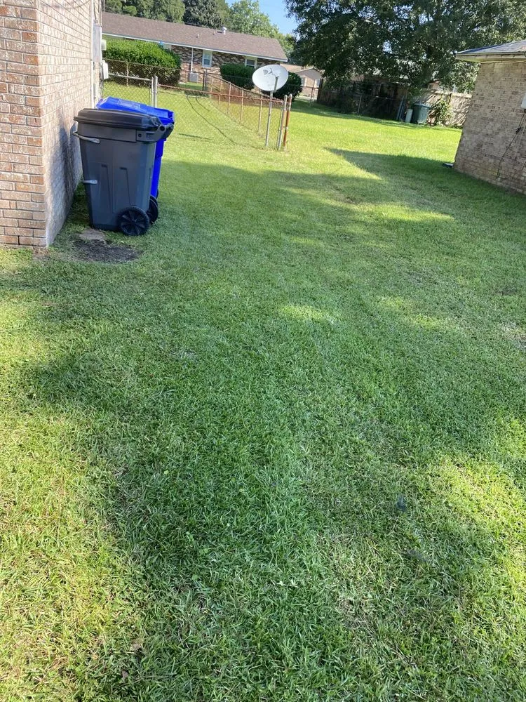 Affordable yard cleanup service in Hollywood, SC by A New Beginning Lawn Care