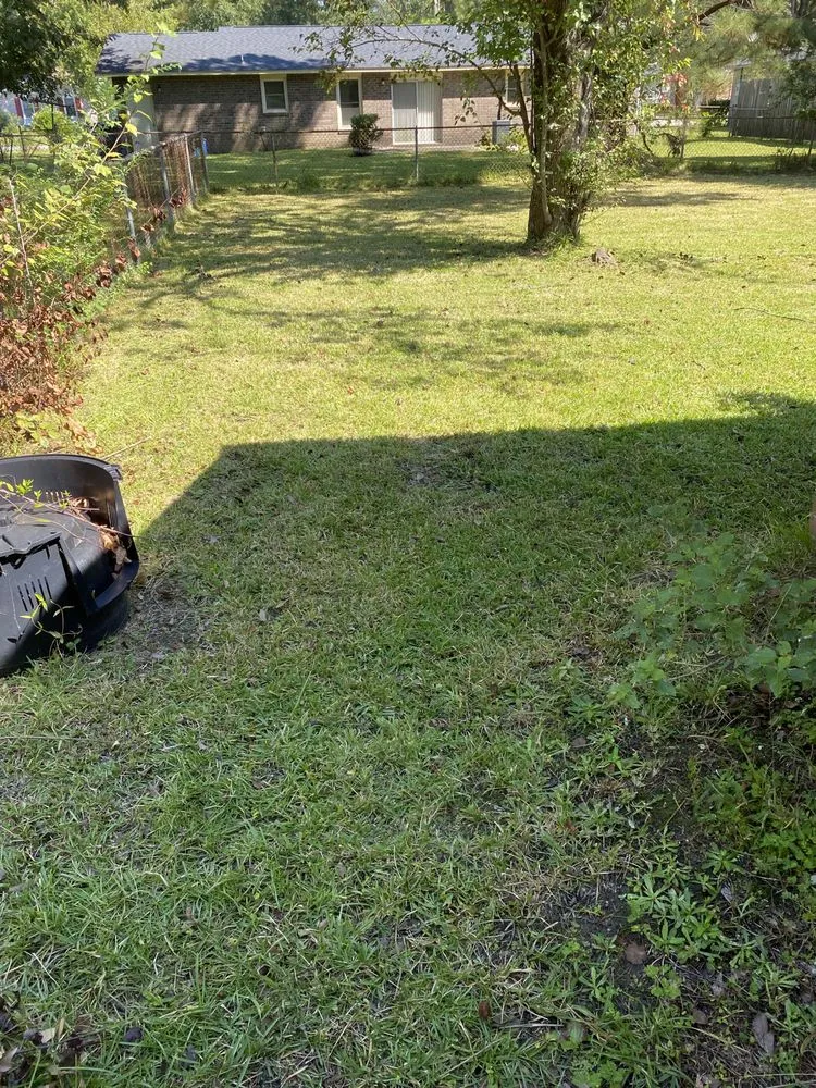 Professional landscape installation for residential properties in Hollywood, SC by A New Beginning Lawn Care