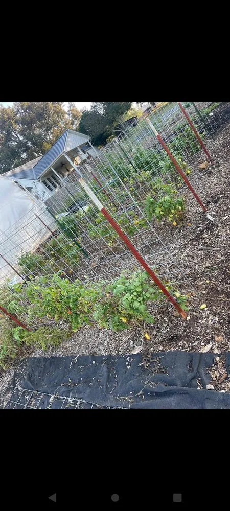 Affordable garden landscaping in Cookeville, TN by A New Creation Cleaning Services