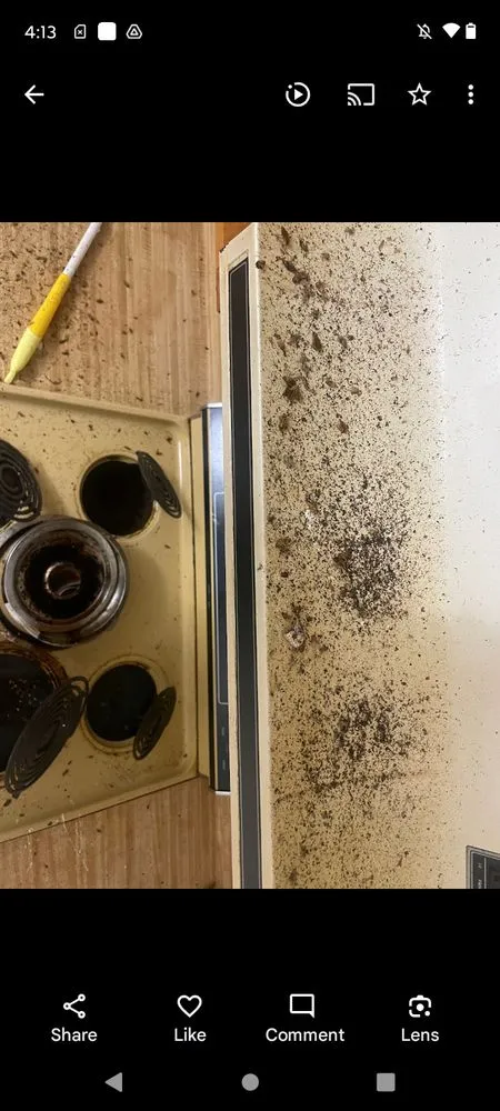 Reliable landscaping services in Cookeville, TN by A New Creation Cleaning Services