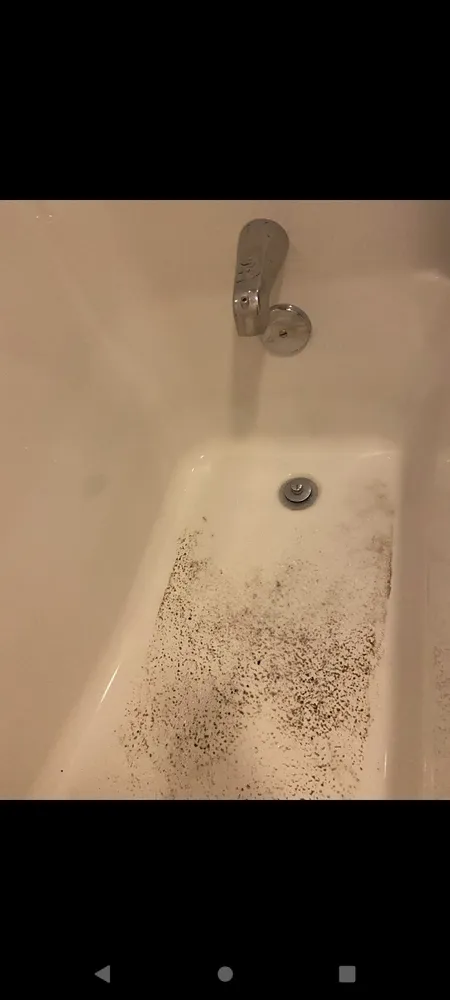 Trusted yard cleanup service in Cookeville, TN - A New Creation Cleaning Services