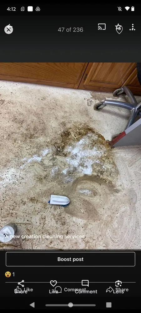 Expert yard maintenance in Cookeville, TN - A New Creation Cleaning Services