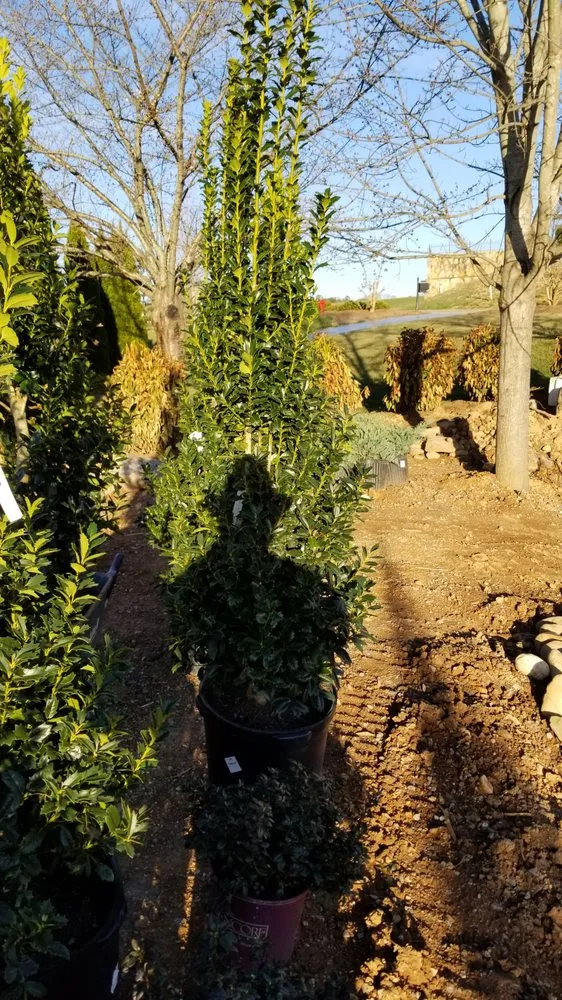 Custom lawn care service experts serving Tellico Plains, TN - A New Hope Lawn Care and Landscaping