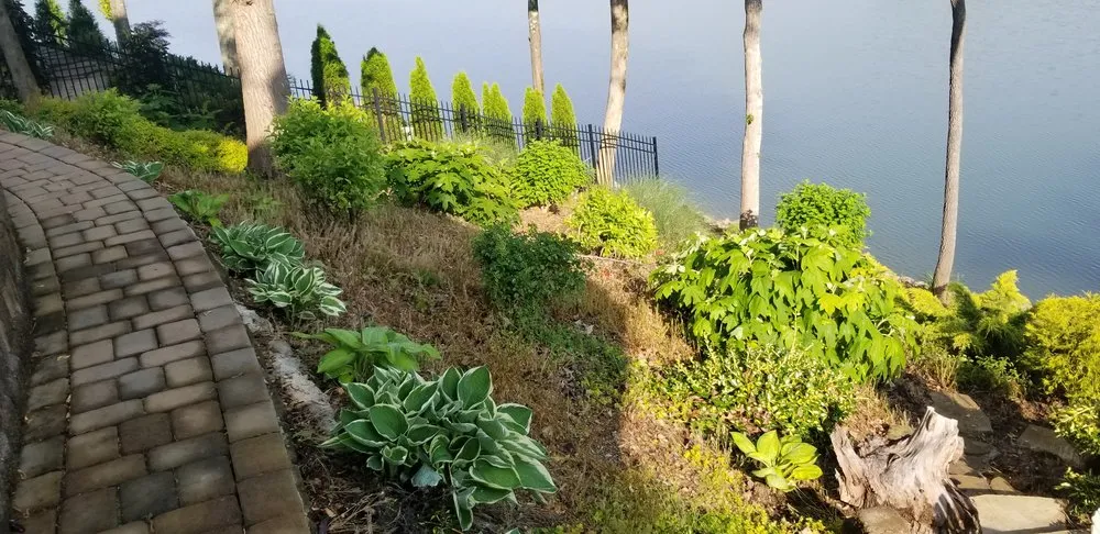 Expert lawn care service in Tellico Plains, TN by A New Hope Lawn Care and Landscaping